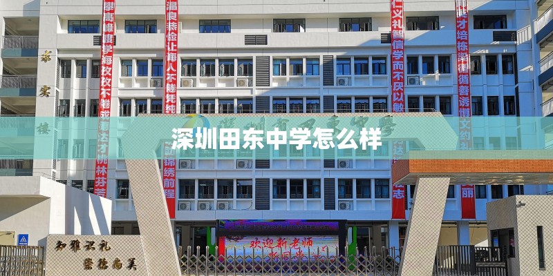 深圳田东中学怎么样