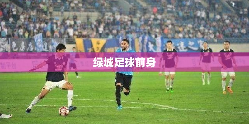 绿城足球前身