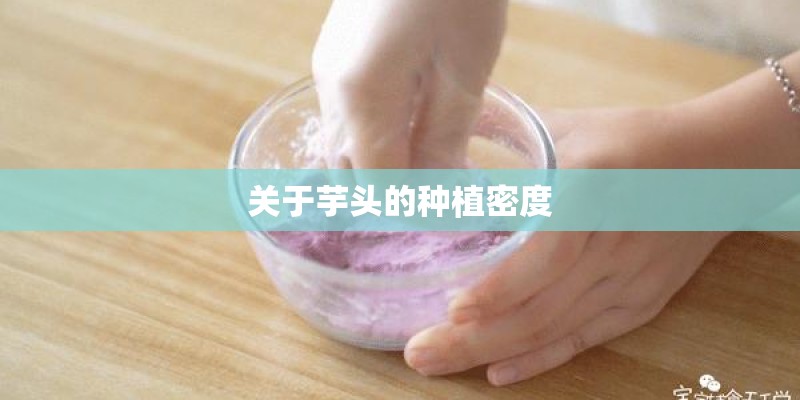 关于芋头的种植密度