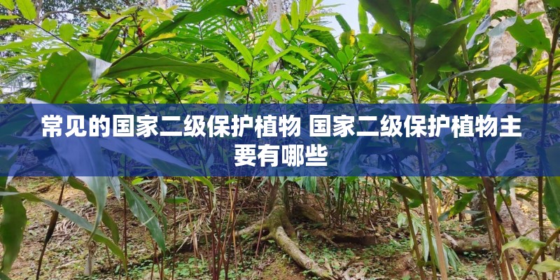 常见的国家二级保护植物 国家二级保护植物主要有哪些