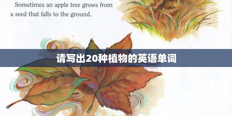 请写出20种植物的英语单词