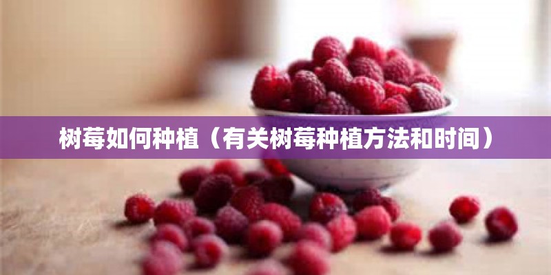 西安一张16年的旅游门票西安一张16年的旅游门票价格