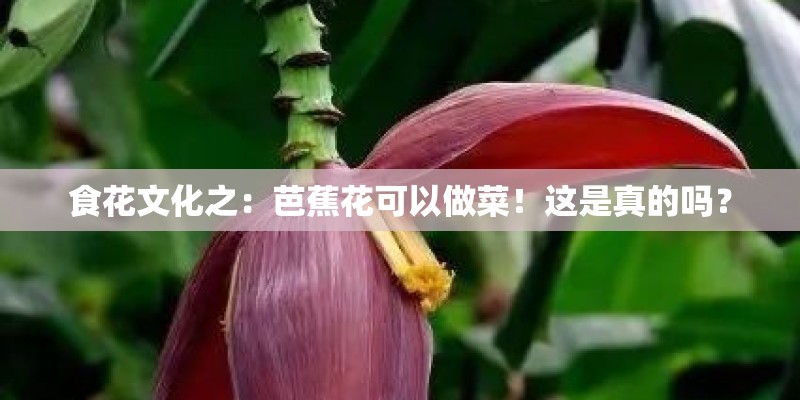 食花文化之：芭蕉花可以做菜！这是真的吗？