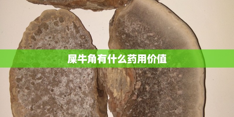 屎牛角有什么药用价值