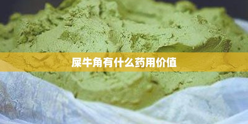 屎牛角有什么药用价值