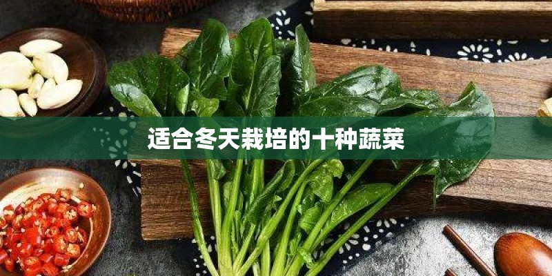 适合冬天栽培的十种蔬菜