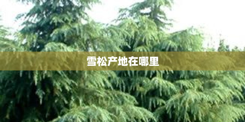 雪松产地在哪里