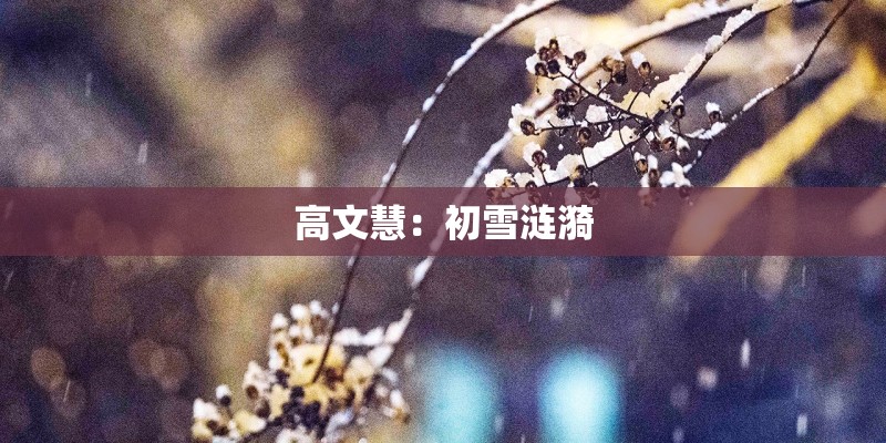 高文慧：初雪涟漪