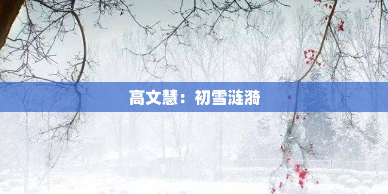 高文慧：初雪涟漪