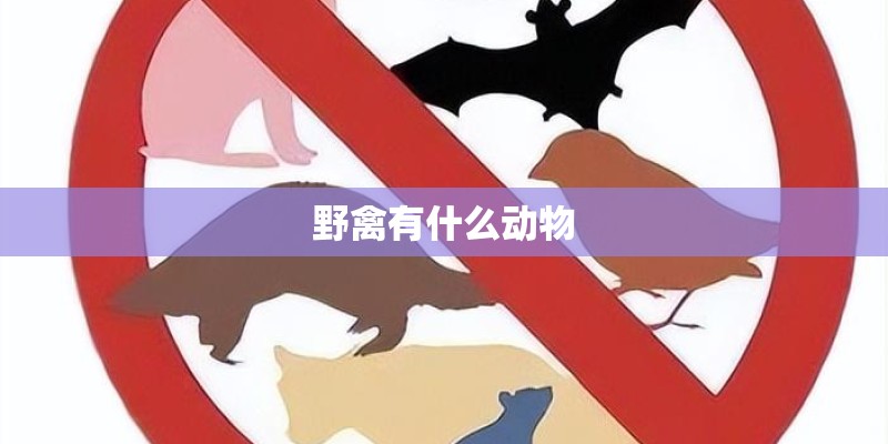 野禽有什么动物