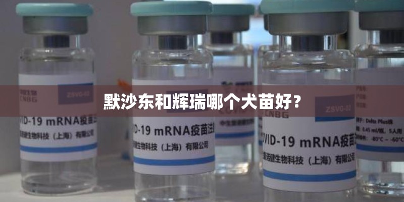默沙东和辉瑞哪个犬苗好？