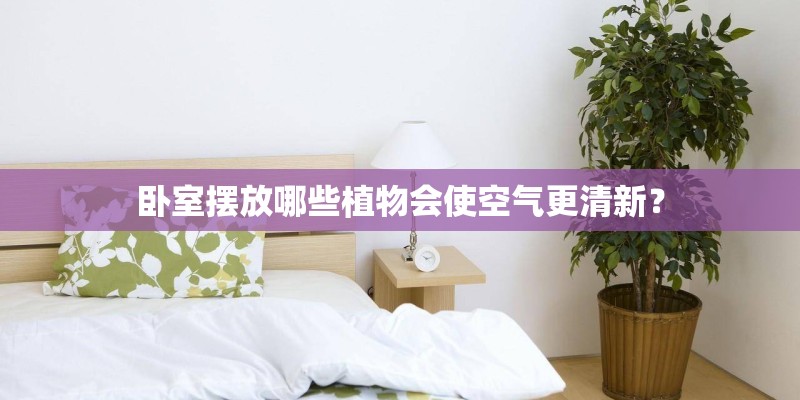 卧室摆放哪些植物会使空气更清新？