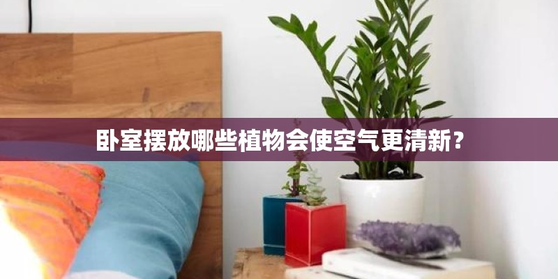 卧室摆放哪些植物会使空气更清新？