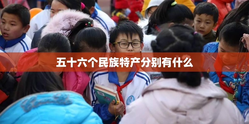 五十六个民族特产分别有什么