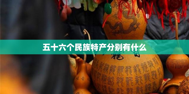 五十六个民族特产分别有什么