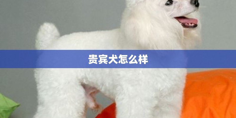 梦见种树叶