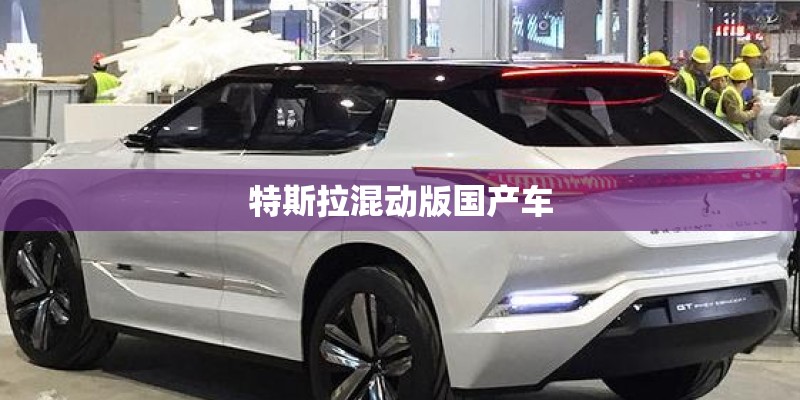 特斯拉混动版国产车