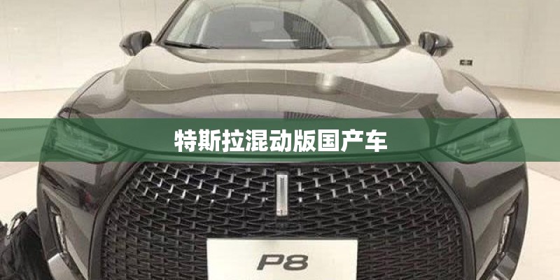 特斯拉混动版国产车