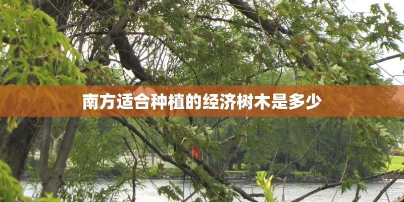 南方适合种植的经济树木是多少