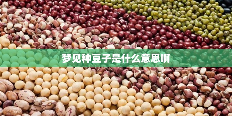 梦见种豆子是什么意思啊