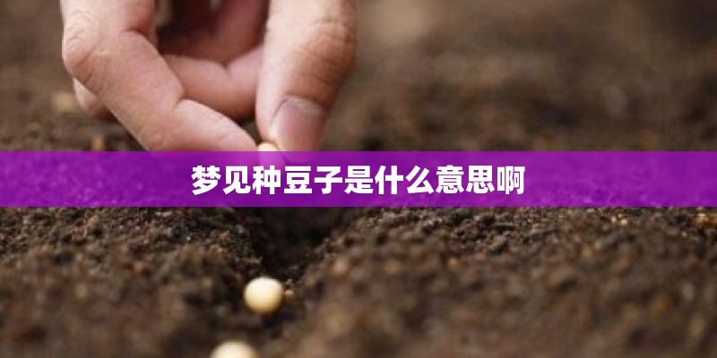 梦见种豆子是什么意思啊