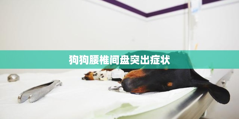 狗狗腰椎间盘突出症状