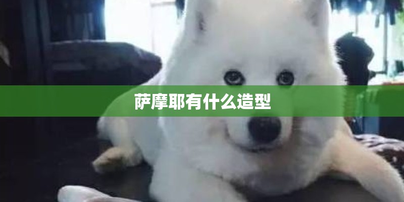 萨摩耶有什么造型