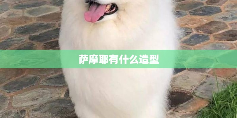 萨摩耶有什么造型