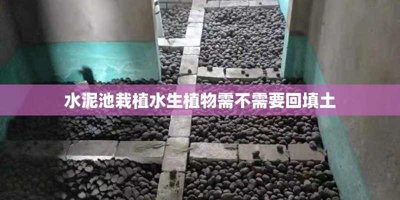 水泥池栽植水生植物需不需要回填土