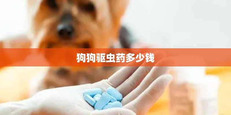 狗狗驱虫药多少钱