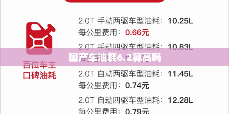 国产车油耗6.2算高吗