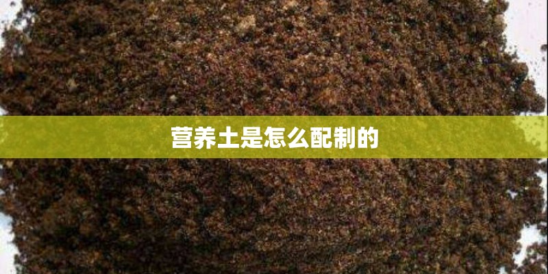营养土是怎么配制的