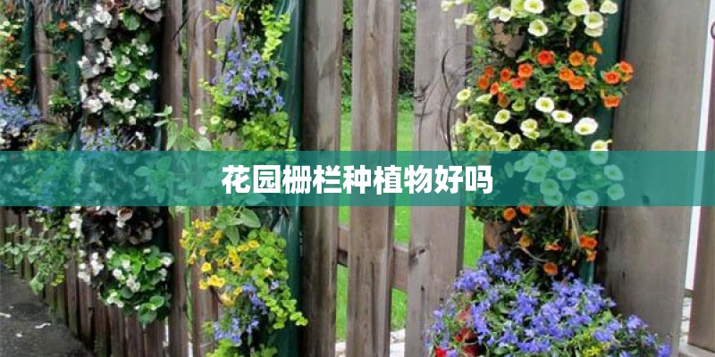 花园栅栏种植物好吗