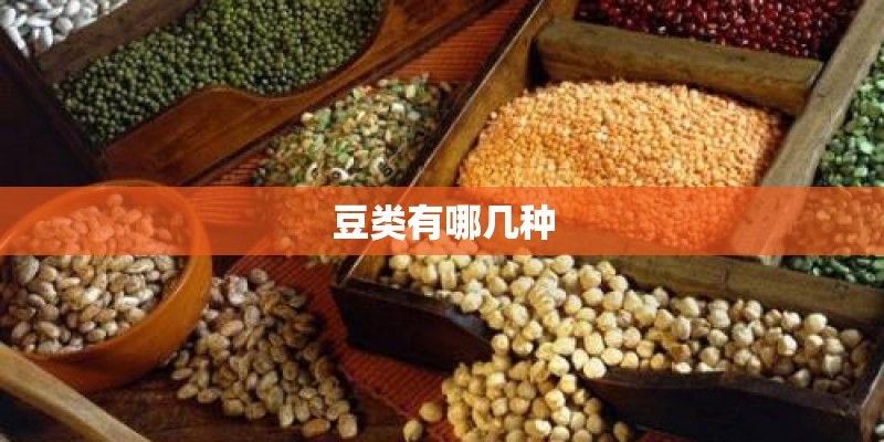 豆类有哪几种