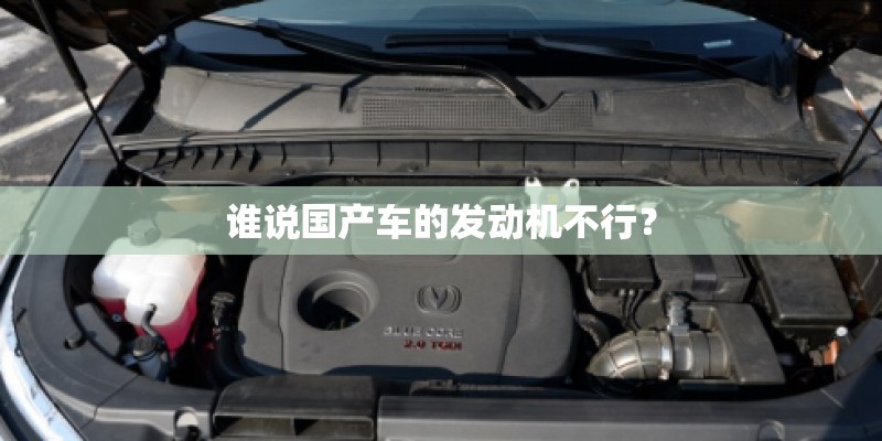谁说国产车的发动机不行？