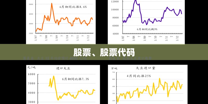 股票、股票代码