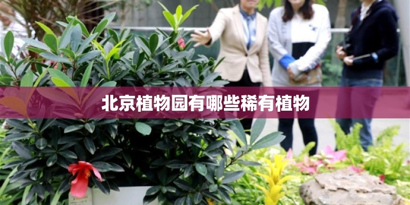 北京植物园有哪些稀有植物