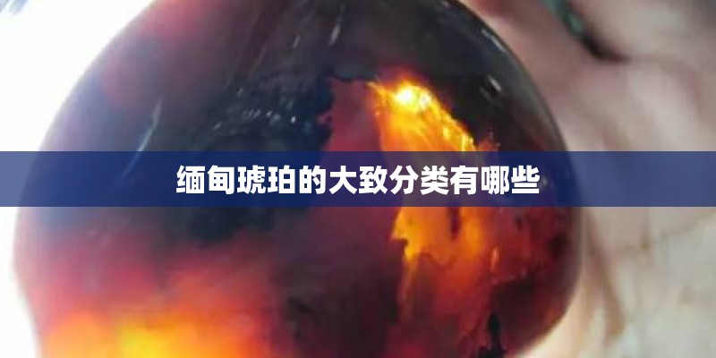 缅甸琥珀的大致分类有哪些