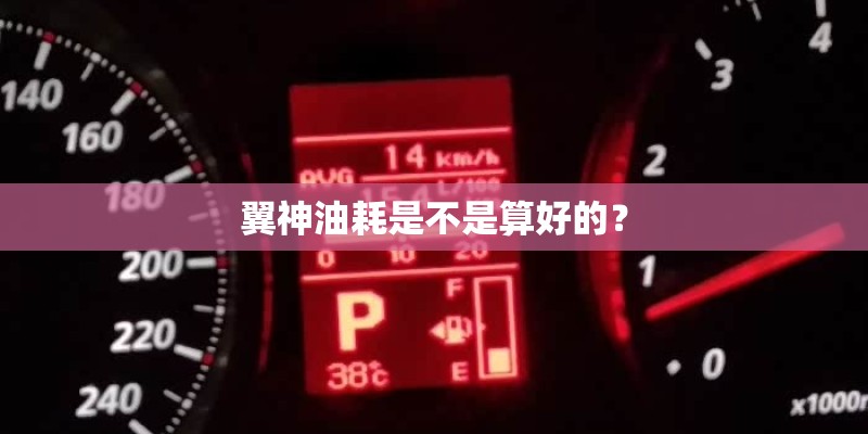 翼神油耗是不是算好的？
