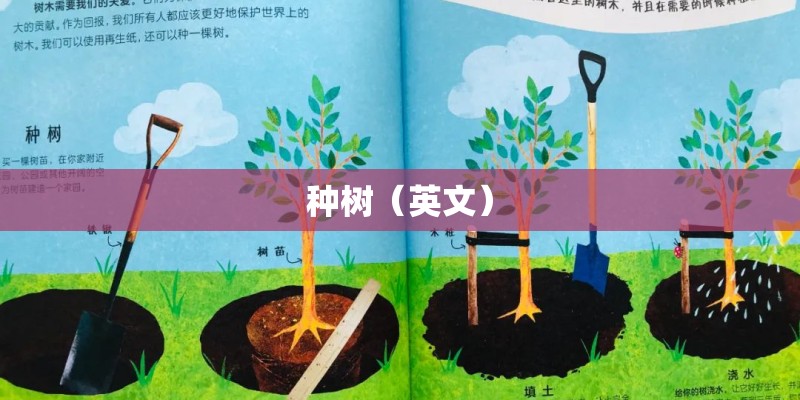 种树（英文）
