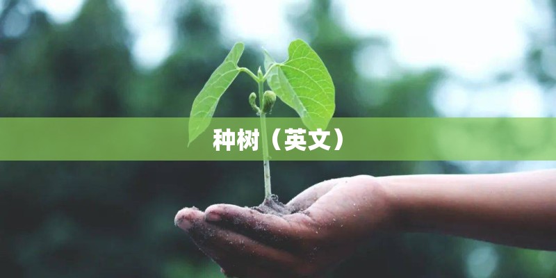 种树（英文）