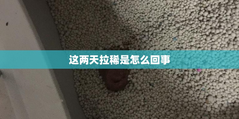 这两天拉稀是怎么回事