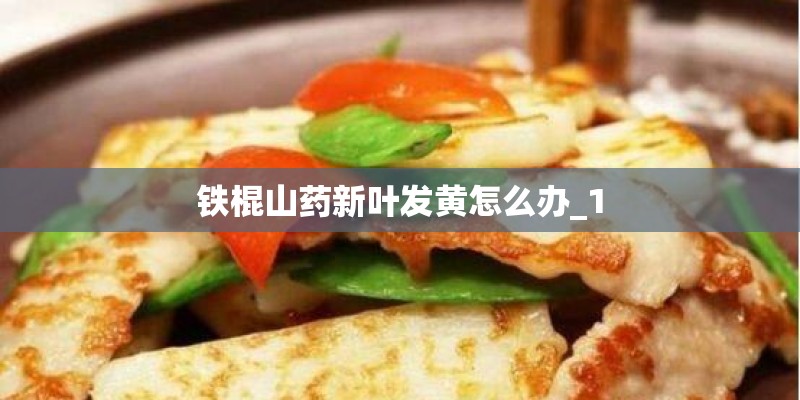 铁棍山药新叶发黄怎么办_1