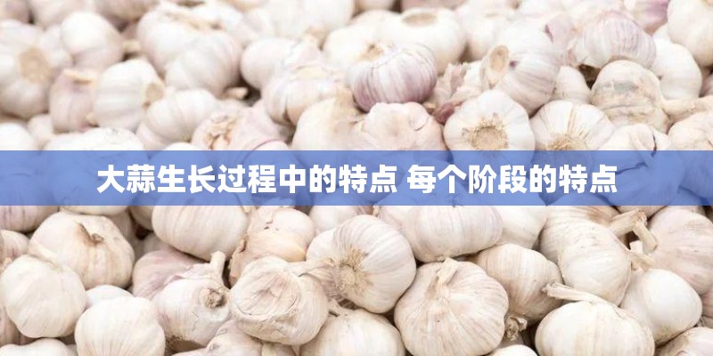 大蒜生长过程中的特点 每个阶段的特点