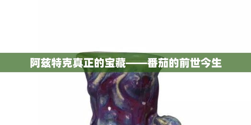 阿兹特克真正的宝藏——番茄的前世今生