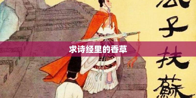 求诗经里的香草