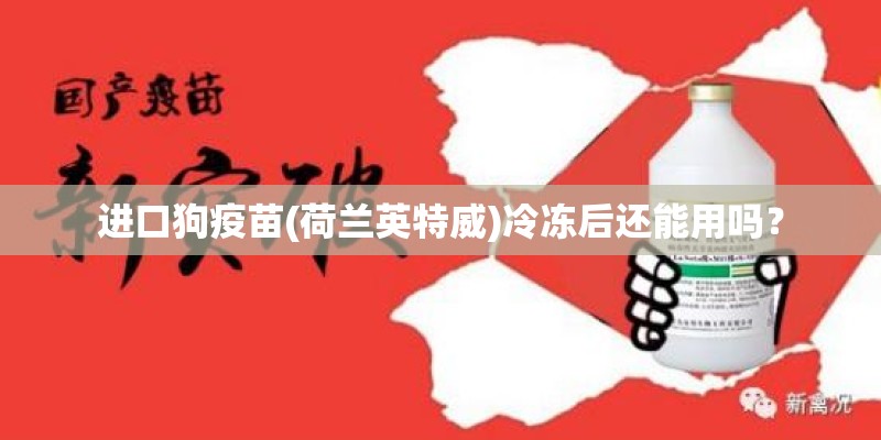 进口狗疫苗(荷兰英特威)冷冻后还能用吗？