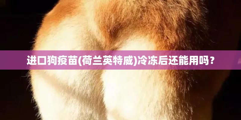 进口狗疫苗(荷兰英特威)冷冻后还能用吗？