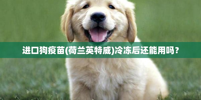 进口狗疫苗(荷兰英特威)冷冻后还能用吗？