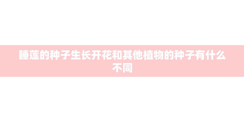 睡莲的种子生长开花和其他植物的种子有什么不同